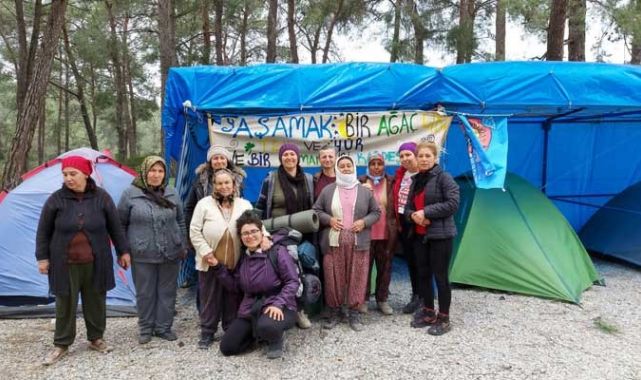 Akbelen’de direniş kazandı: Sökülen ağaçlar geri dikiliyor