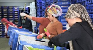 Sebze üssünde fiyatlar uçtu