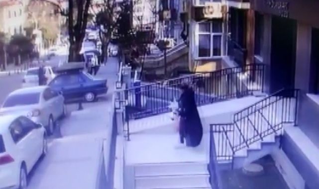Ümraniye'de kedi kavgası