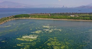 İzmir Körfezi'nde kötü koku sıcaklığın yükselmesiyle etkisini artırdı