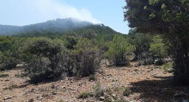 Mersin ve Muğla'da çıkan orman yangınlarına müdahale ediliyor