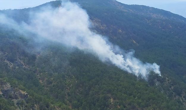 Muğla'daki orman yangını söndürüldü
