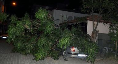 Ortaca'da fırtına etkili oldu