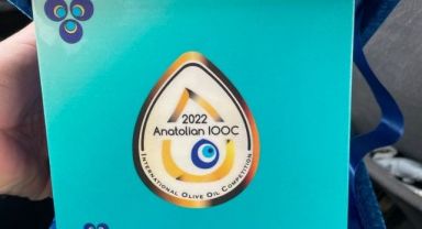 Bütün Ödülleri Topladı