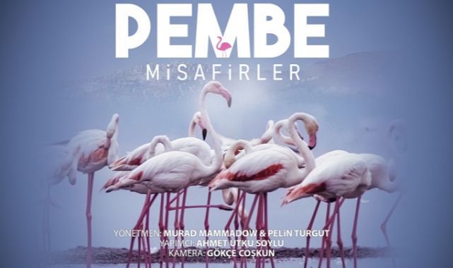 Çiğli’nin Pembe Misafirleri 10 Festivalde Ödüle Aday