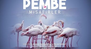 Çiğli’nin “Pembe Misafirleri” Berlin'de Boy Gösterecek