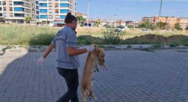 Güvenlik görevlisi hasta yakınları tarafından darp edildi