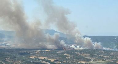 İzmir'de makilik alanda yangın çıktı