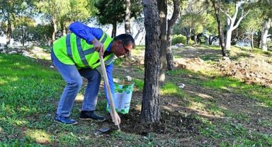 Organik atıklar bu tesiste gübreye dönüşüyor