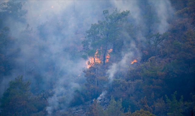 Orman yangınlarına karşı valilikler yeniden uyarıldı
