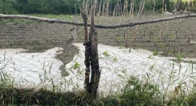Tokat'ta iki köyde etkili olan dolu ekili alanlara zarar verdi