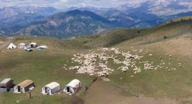 Tunceli yaylarına huzur geldi