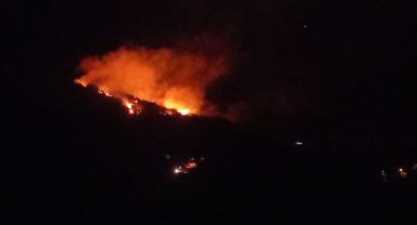 Adana'da Orman Yangını