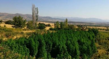 Diyarbakır'da Yeni Operasyon Başlatıldı.