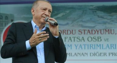 Erdoğan: Fındık Alım Fiyatı Ortalama 54 TL