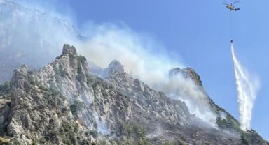 İmir Mersin ve Hatay'da Yangın