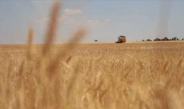 TMO Genel Müdürü'nden Hububat Açıklaması