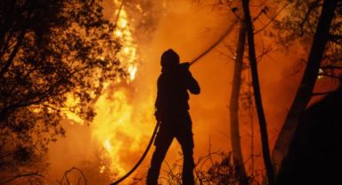 Avrupa'da İklim Değişikliği Son Yılların En Yoğun Orman Yangınlarına Yol Açıyor