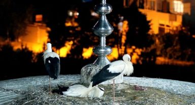 Beykoz'un
