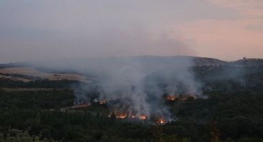 Bulgaristan'da Askerler Patlayıcı Madde İmha Ederken Orman Yangını Çıktı