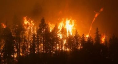 California Yangınlarla Boğuşuyor