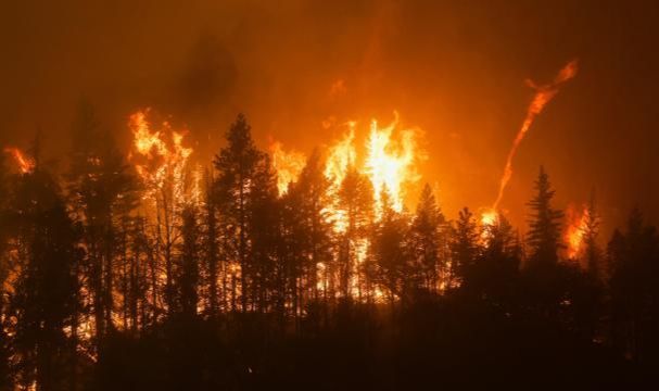 California Yangınlarla Boğuşuyor