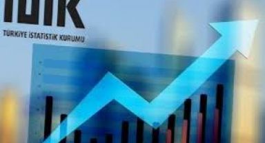 TÜİK Aylık Enflasyon Yüzde 2,37, Yıllık Enflasyon Yüzde 79,6