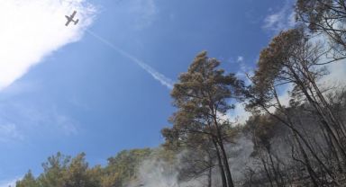 Marmaris'te Orman Yangını