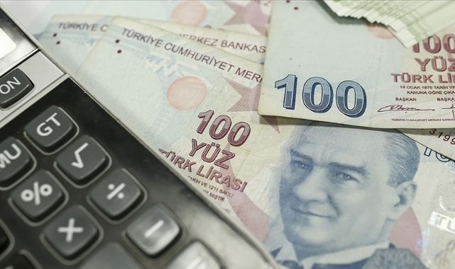 TÜİK 2021 Sektör Bilançolarını Yayınladı
