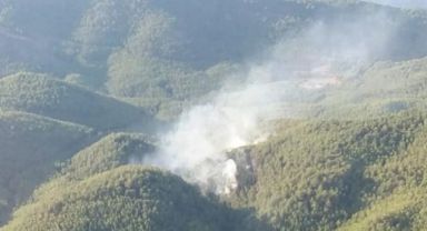 Muğla'da Orman Yangını