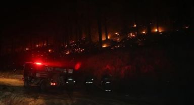 Kaz Dağları'ndaki Orman Yangını Kontrol Altında