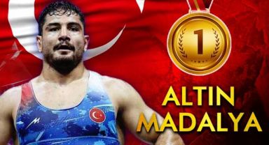 Taha Akgül, Mısır'da Altın Madalya Kazandı