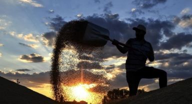 Toprak Mahsulleri Ofisi, 2023 Hububat Alım Detaylarını Belirledi