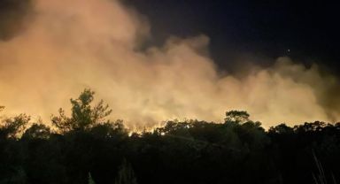 Antalya'nın Kemer İlçesinde Orman Yangını Çıktı