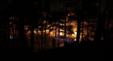 Çanakkale'de Orman Yangını