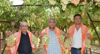 5. Geleneksel Bağ Bozumu Ve Yörük Türkmen Şöleni Sancaklı İğdecik’te Yapılacak