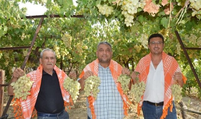 5. Geleneksel Bağ Bozumu Ve Yörük Türkmen Şöleni Sancaklı İğdecik’te Yapılacak