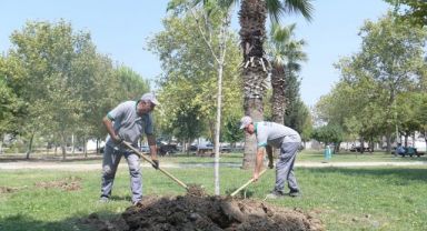 Bornova’da park yenileme hamlesi