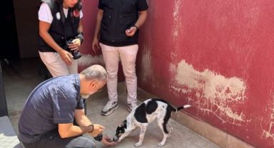 Karşıyaka Belediyesi, can dostlara huzurlu bir hayat sunuyor