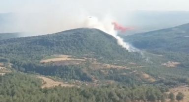 Manisa'da Soma'da Orman Yangını Kontrol Altına Alındı