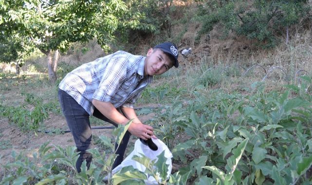 Tıp Fakültesini Kazandığını Patlıcan Toplarken Öğrenendi