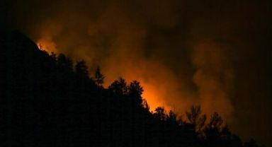 Alanya'da Orman Yangını