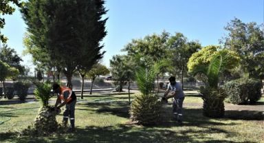Bornova Belediyesi’nden parklara titiz bakım
