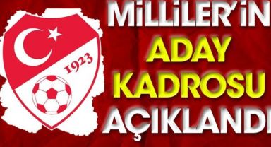 A Milli Futbol Takımı'nın aday kadrosu açıklandı