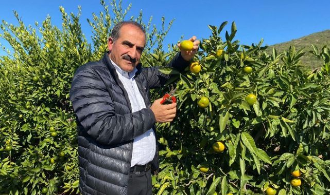 Mandalina ihracatında hedef 500 milyon dolar