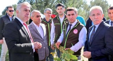 Yerli Ve Milli Çeşitler Hayvancılığa Da Katkı Sağlıyor