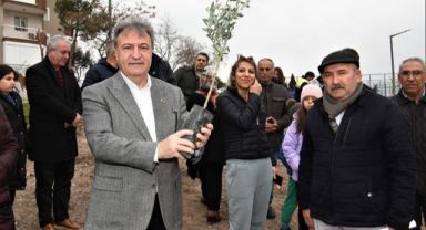 Bornova’da zeytincilik eğitimleri devam ediyor