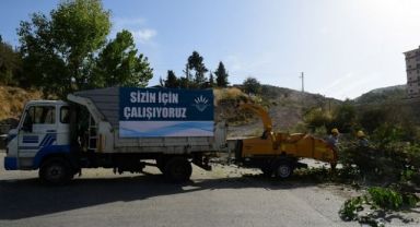 Budanan dallar gübreye dönüşüyor