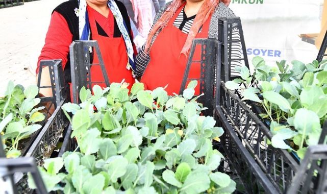 Çiftçi hem üretiyor hem kazanıyor