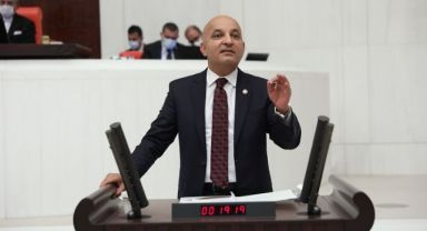 Danıştay Zeytin Talanına “Dur” Dedi